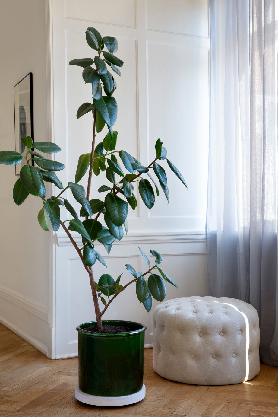 Bergs Potter Modena Kruka Ø40 cm, Grön - Azalea Home