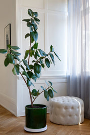 Bergs Potter Modena Kruka Ø40 cm, Grön - Azalea Home