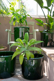Bergs Potter Modena Kruka Ø40 cm, Grön - Azalea Home