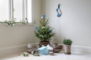 Bergs Potter Piccolina Kruka Ø30 cm, Grå - Azalea Home