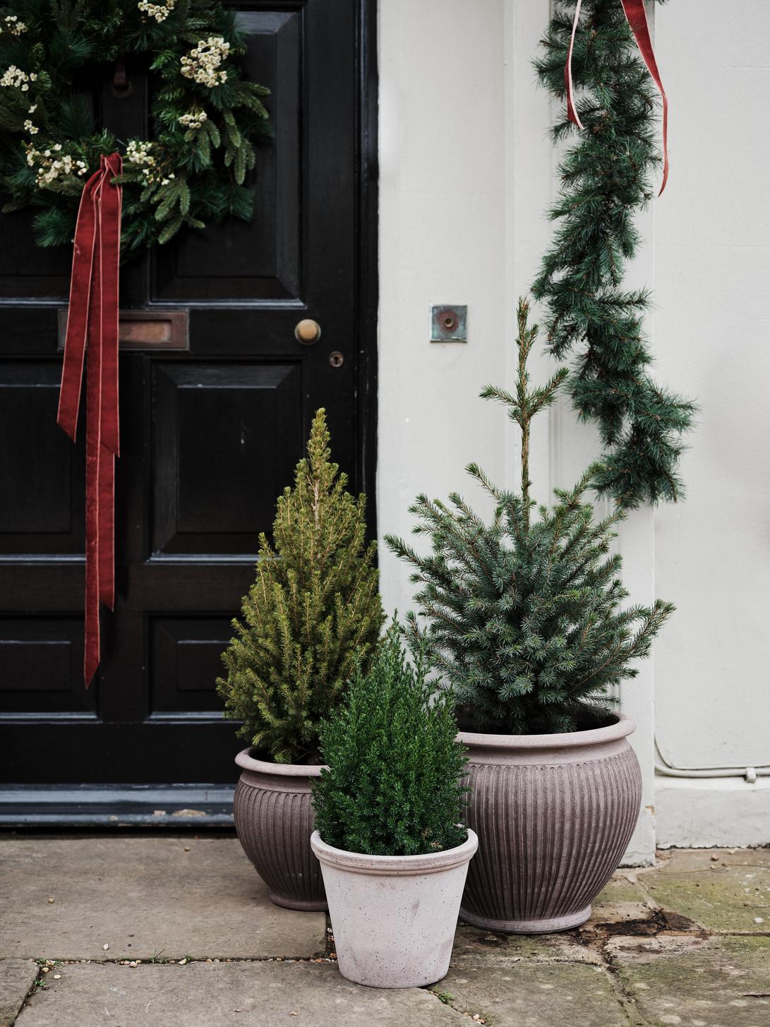 Bergs Potter Piccolina Kruka Ø40 cm, Grå - Azalea Home