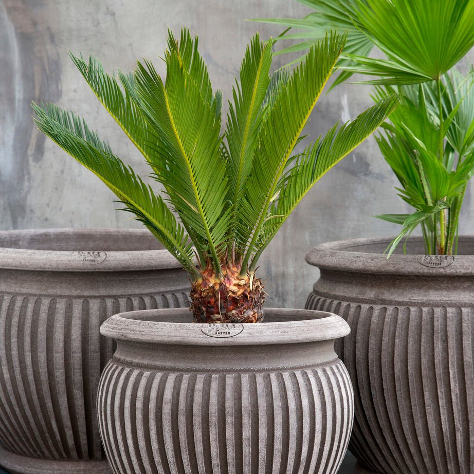 Bergs Potter Piccolina Kruka Ø40 cm, Grå - Azalea Home