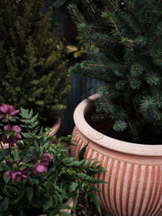 Bergs Potter Piccolina Kruka Ø40 cm, Rosa - Azalea Home