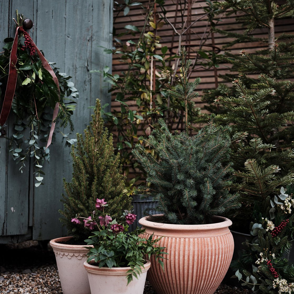 Bergs Potter Piccolina Kruka Ø40 cm, Rosa - Azalea Home