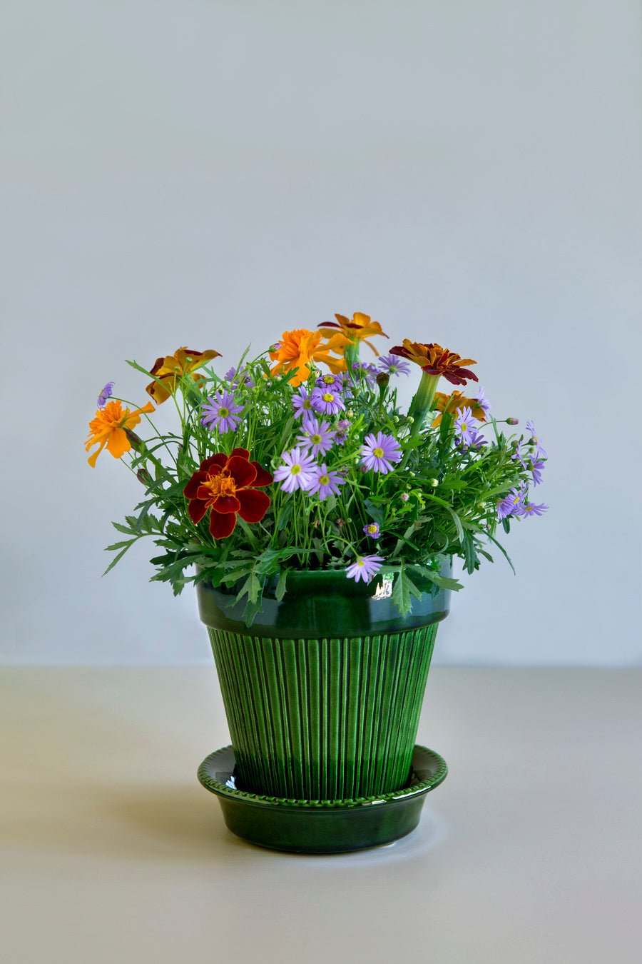Bergs Potter Simona Kruka med Fat Ø18cm, Grön - Azalea Home