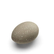 Cooee Design Egg Påskdekoration 2 - Pack, Sand - Azalea Home