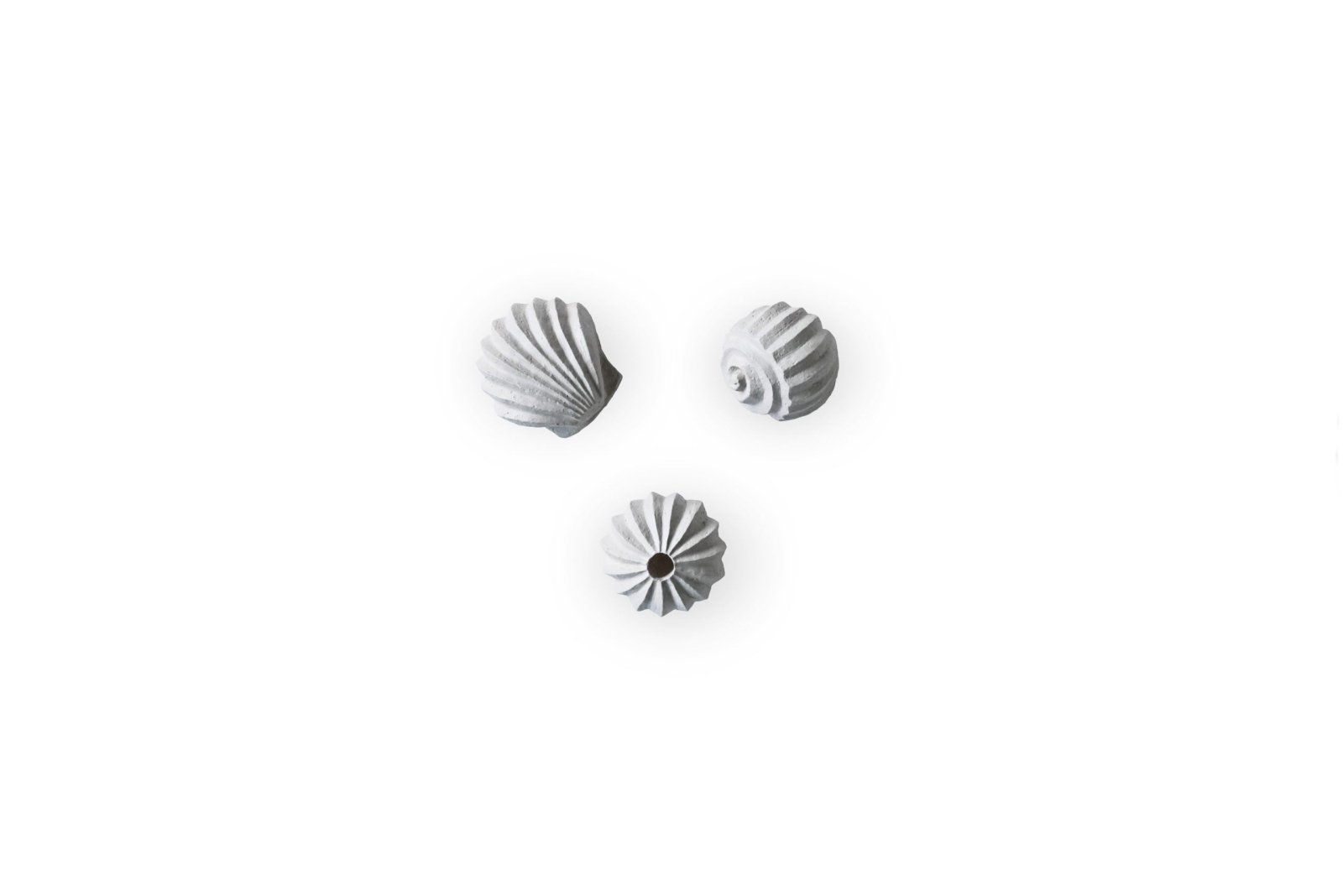 Cooee Design The Genesis Shells Skulptur, Limestone - Azalea Home