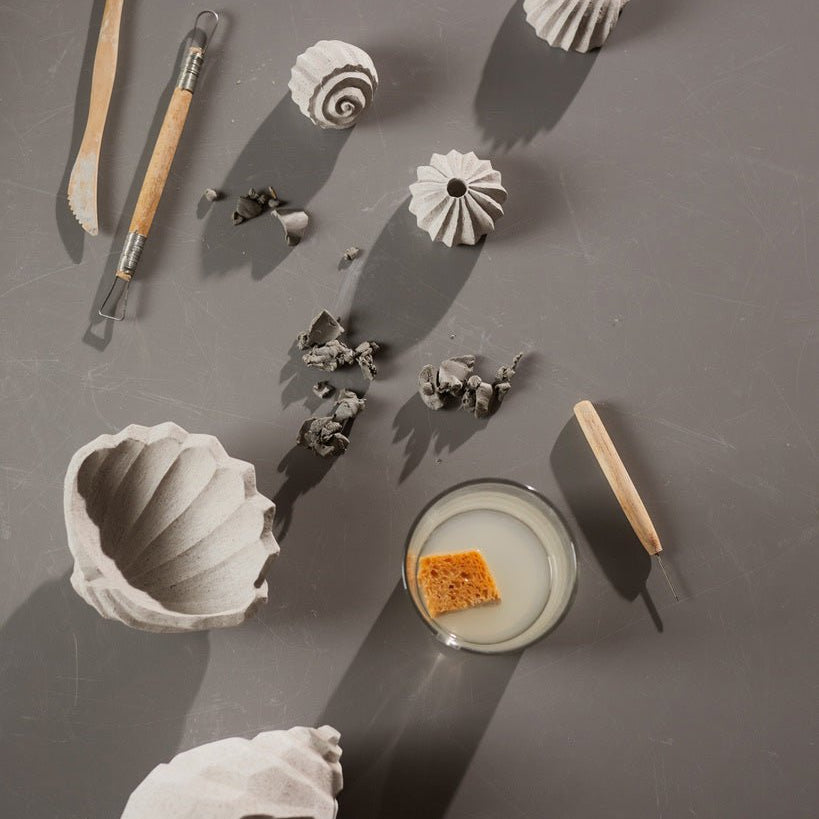 Cooee Design The Genesis Shells Skulptur, Limestone - Azalea Home