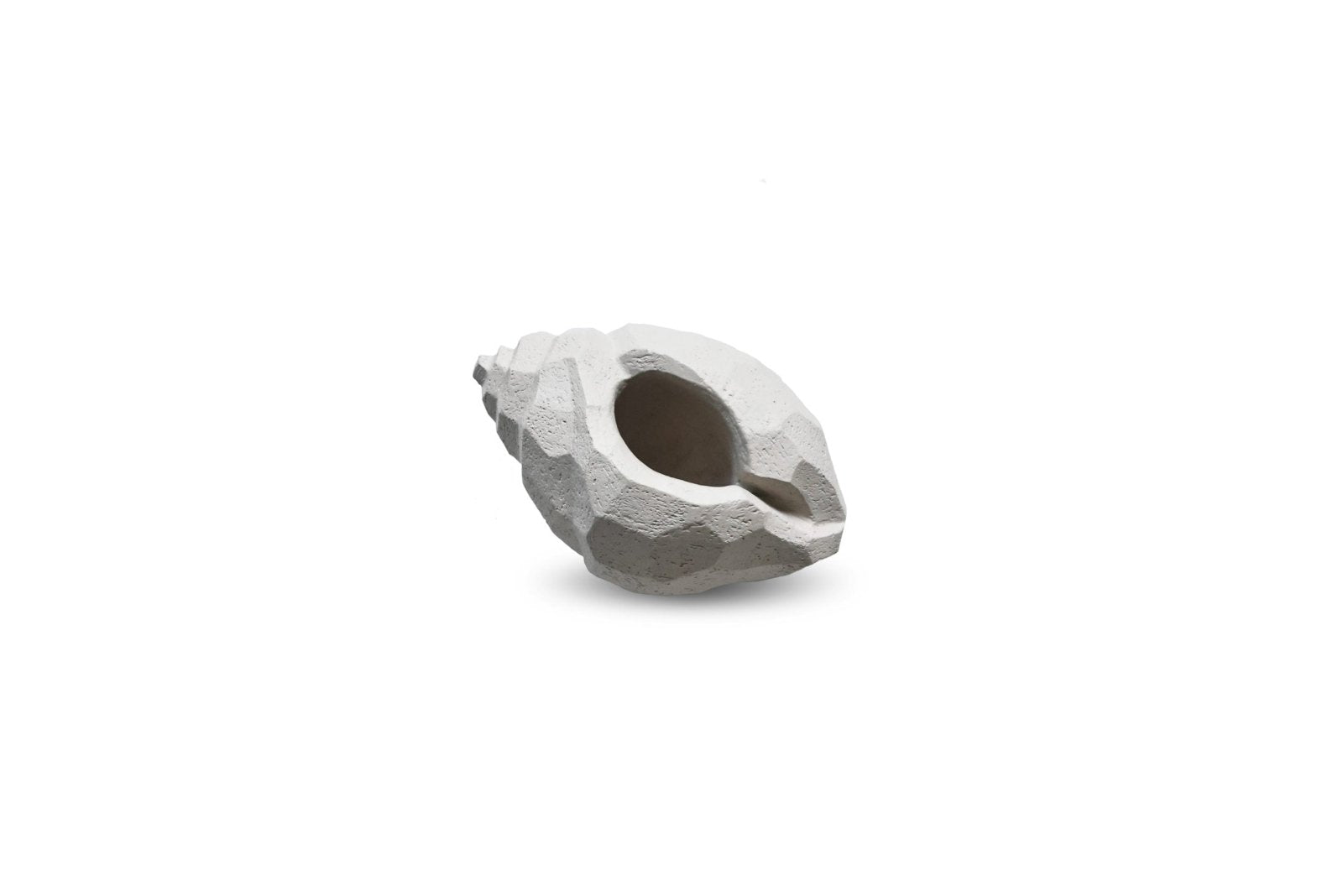 Cooee Design The Pear Shell Skulptur, Limestone - Azalea Home