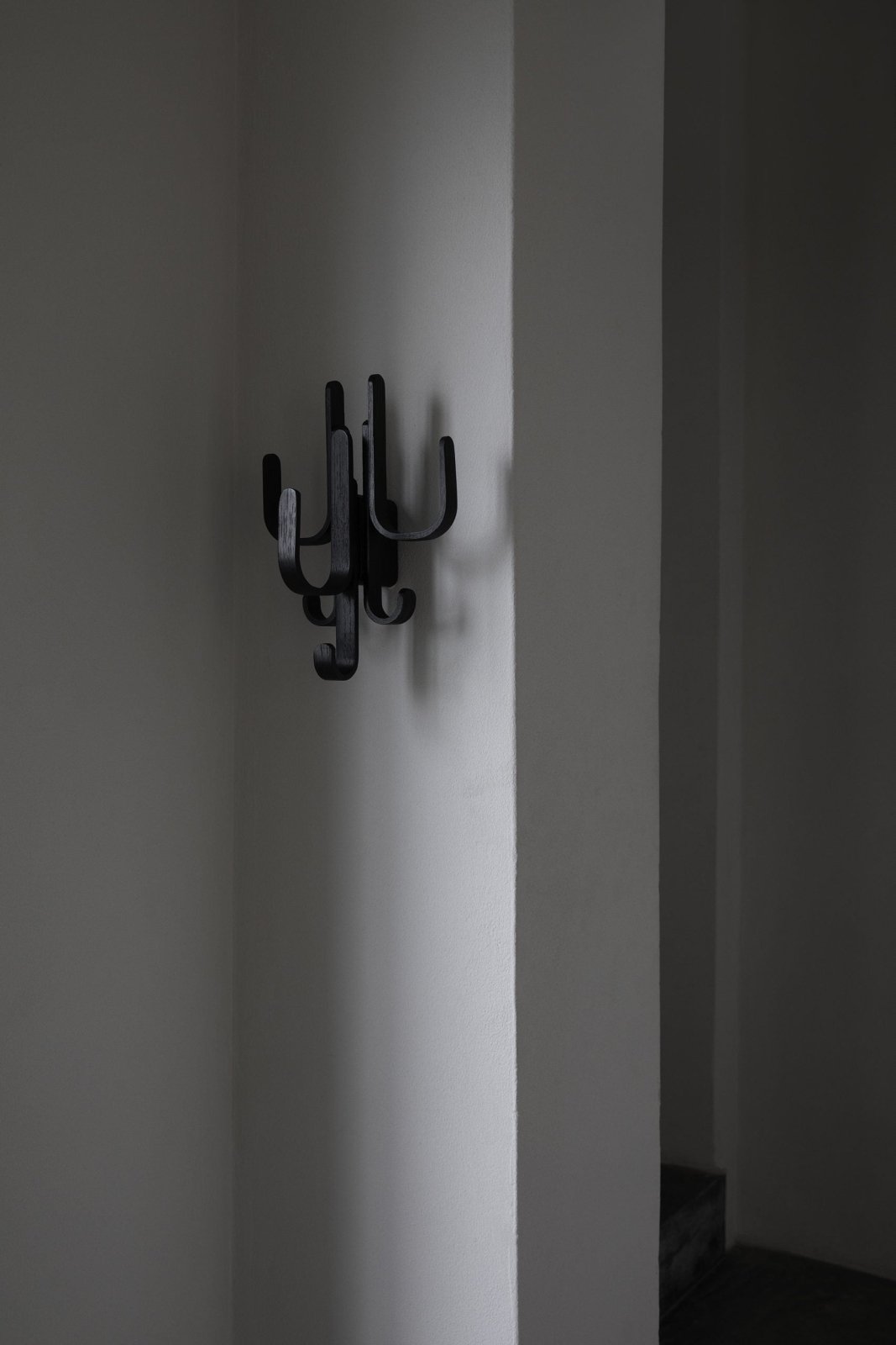 Cooee Design Woody Väggkrok 3 in 1, Svart - Azalea Home