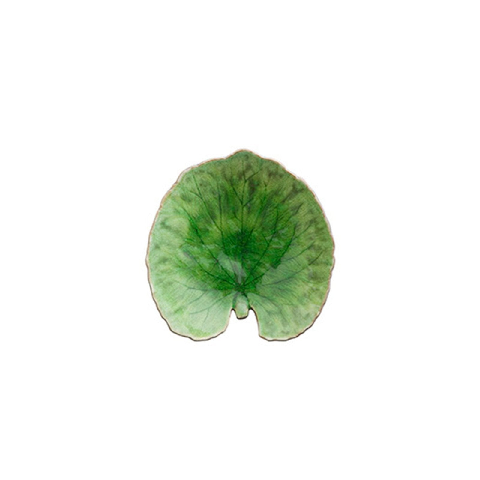 Costa Nova Fat Riviera Alchemille leaf Light Green - Azalea Home