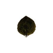 Costa Nova Fat Riviera Hydrangea 17cm Dark Green - Azalea Home