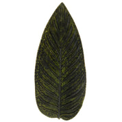 Costa Nova Fat Riviera Strelizia Dark Green - Azalea Home