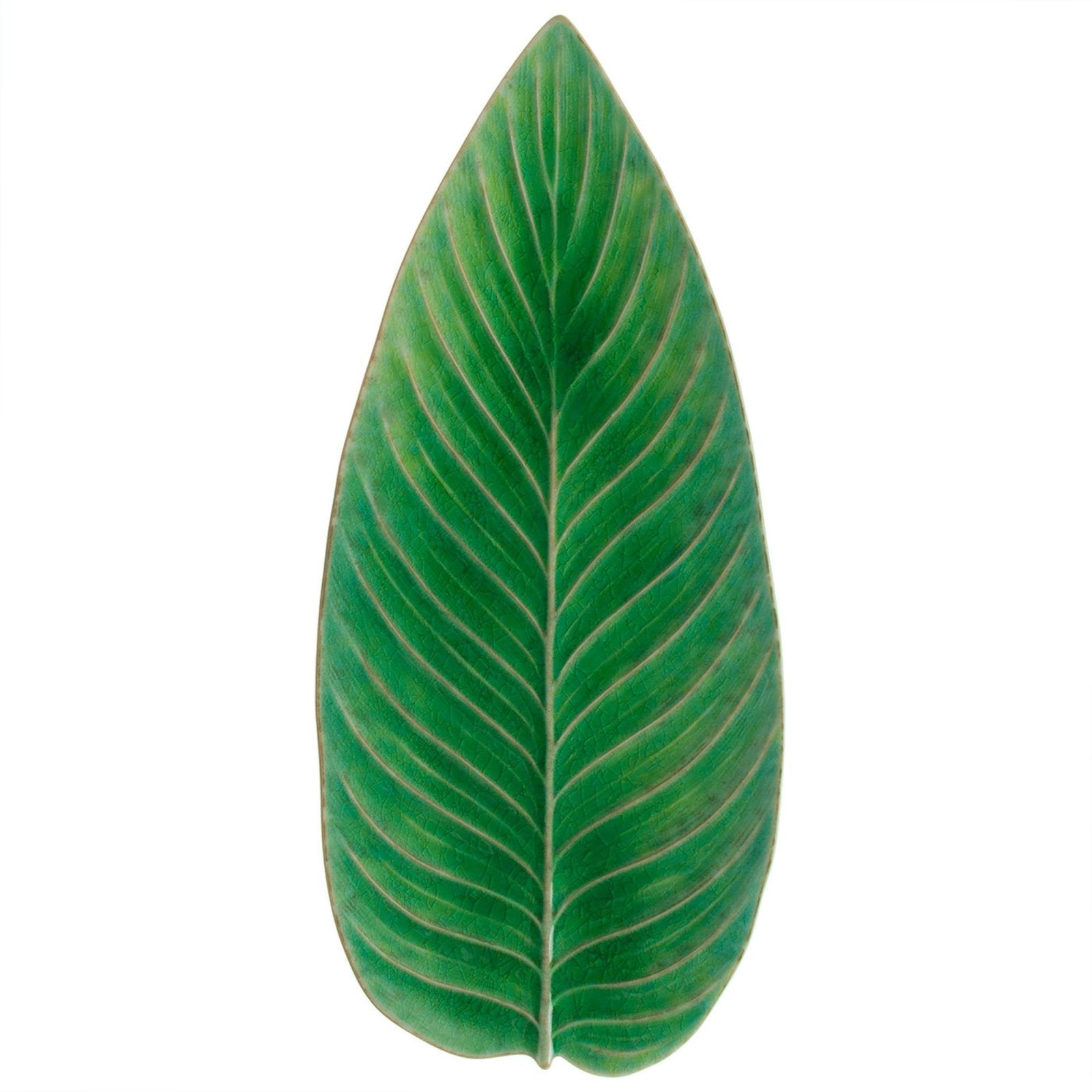 Costa Nova Fat Riviera Strelizia Light Green - Azalea Home