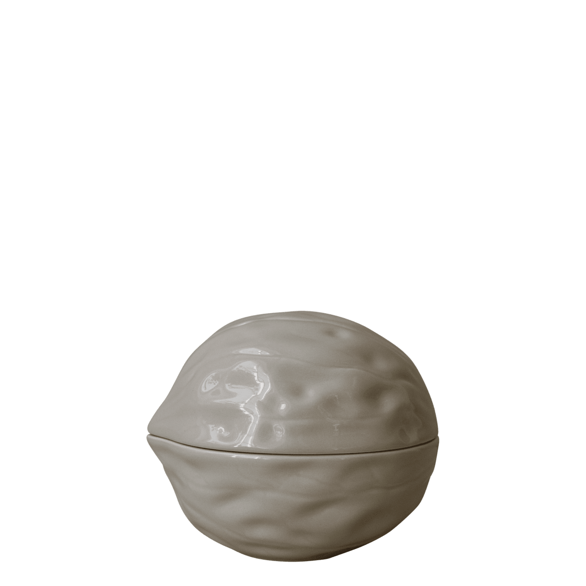 dbkd_20230802sm_walnut_shiny_mole.png
