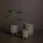 PLUS Kruka Small Ø14, dust