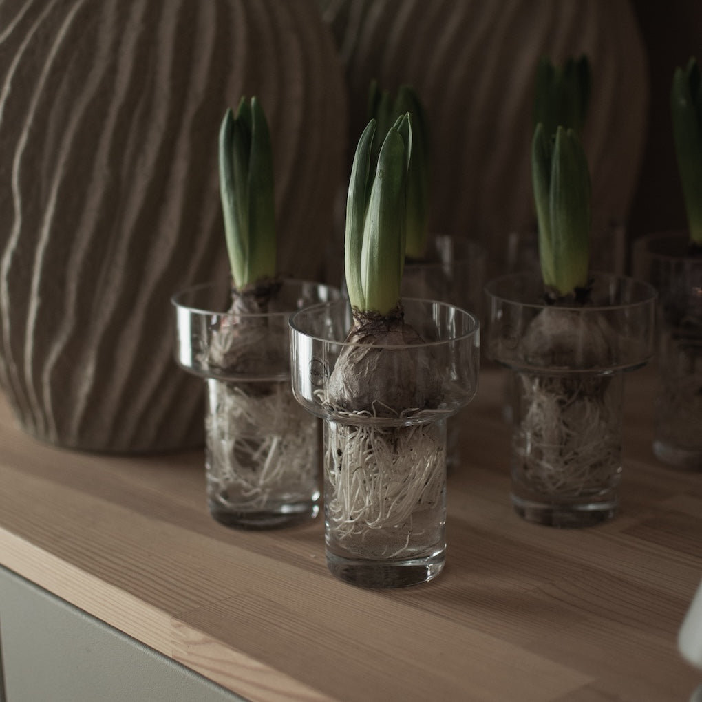 dbkd_aw24_the_store-082.jpg