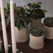 GROW Kruka Small Ø10, Sand