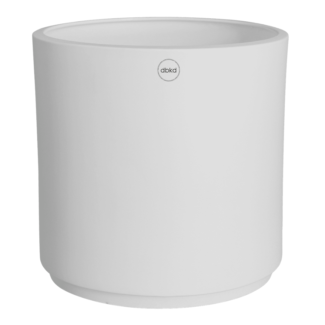 dbkd_cutout_solid_xl_white.png