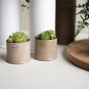 ASTILLBE Kruka Small H6cm, Beige