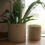 FLOWERY Kruka Large Ø20, creme