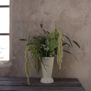 FLORA Vas, Creme