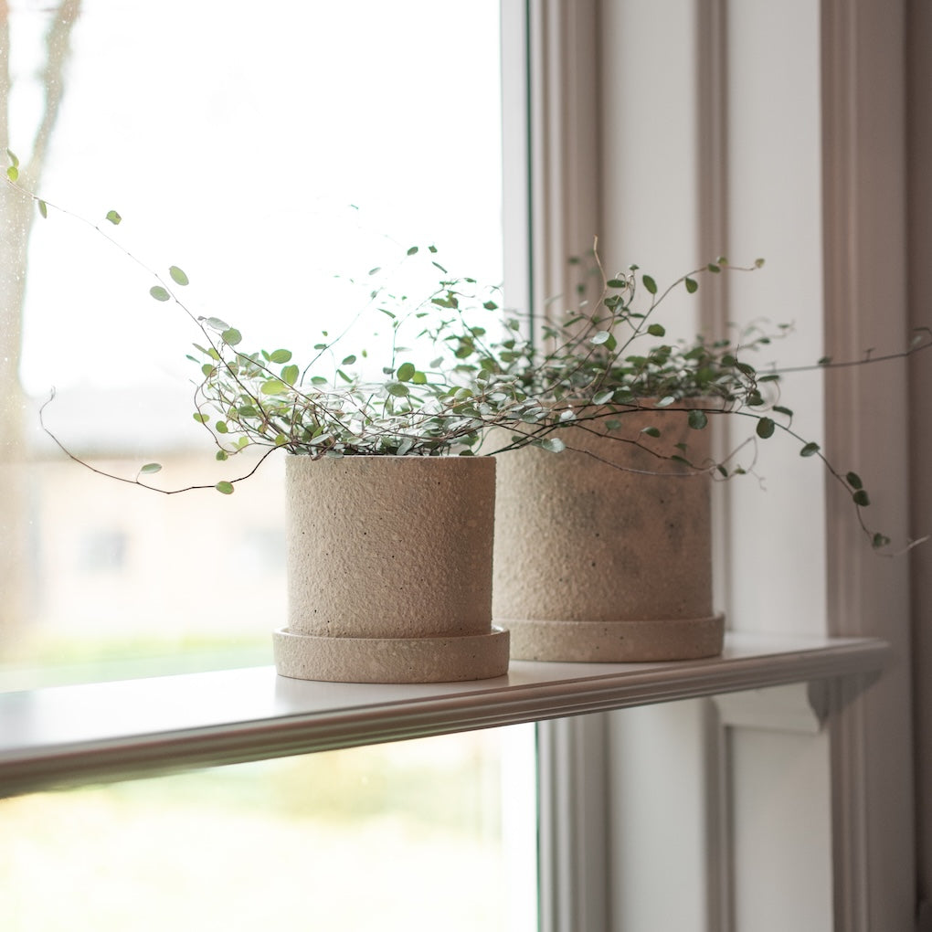 GROW Kruka Small Ø10, Creme