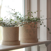 GROW Kruka Large Ø13, Creme