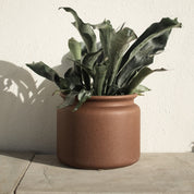 PURE Kruka Medium H20cm, Brun