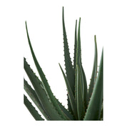 House Nordic Konstväxt Aloe Vera H51cm, Grön - Azalea Home
