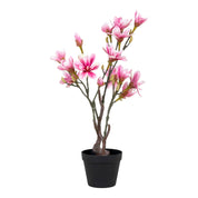 House Nordic Konstväxt Magnoliaträd H74cm, Rosa - Azalea Home