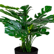 House Nordic Konstväxt Monstera H45cm, Grön - Azalea Home