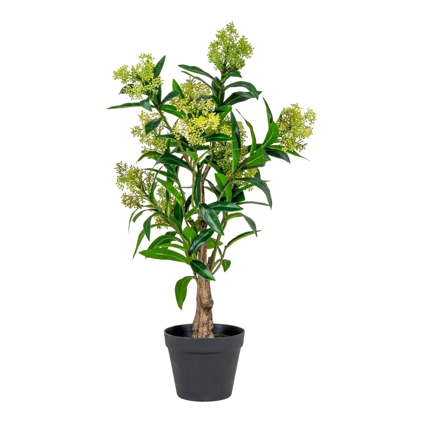 House Nordic Konstväxt Skimmia - träd H75cm, Grön - Azalea Home