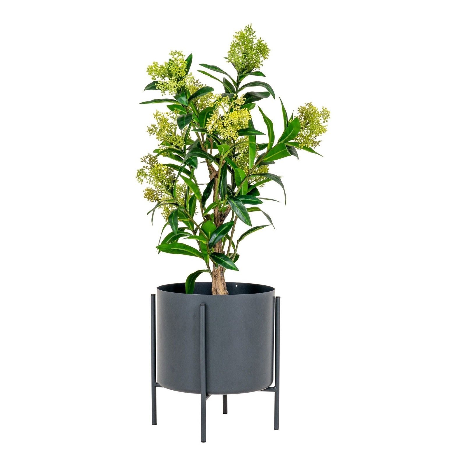 House Nordic Konstväxt Skimmia - träd H75cm, Grön - Azalea Home