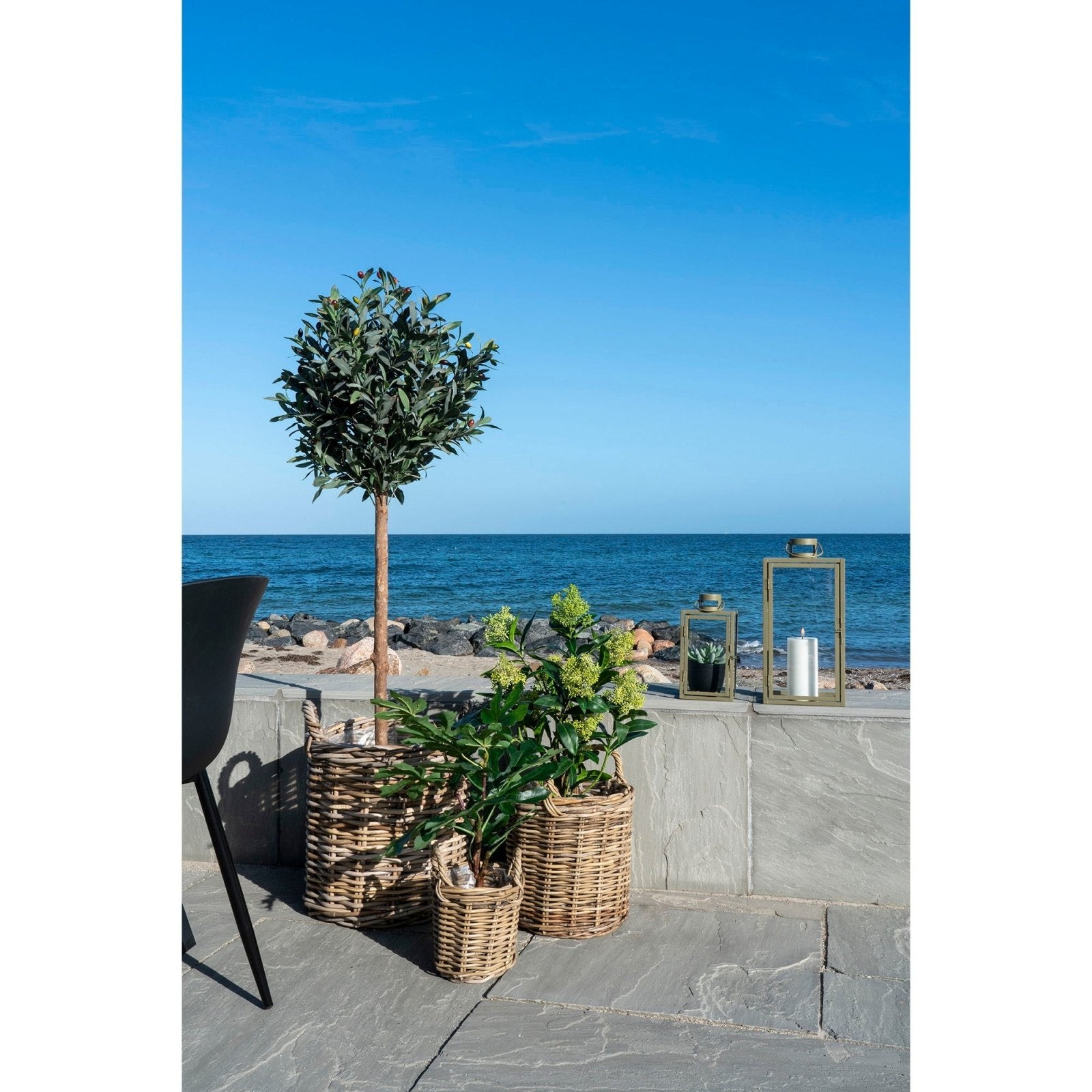 House Nordic Konstväxt Skimmia - träd H75cm, Grön - Azalea Home