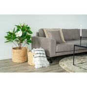 House Nordic Passo korg 2 - Pack, Natur - Azalea Home