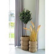 House Nordic Sarbas korgar, Natur - Azalea Home