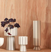 Toppu Kruka H24, Clay