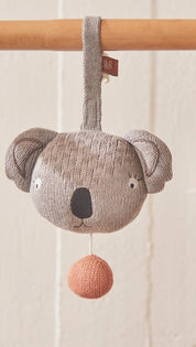 Koala Speldosa, Grå