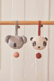 Koala Speldosa, Grå