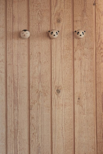 Mini Krok Koala, Natur