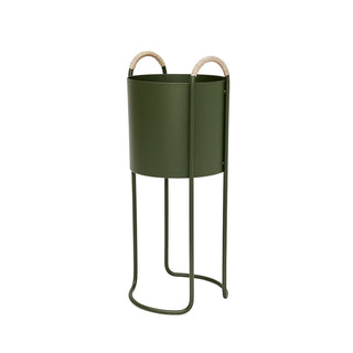 Maki Blomlåda, Hög, Olive