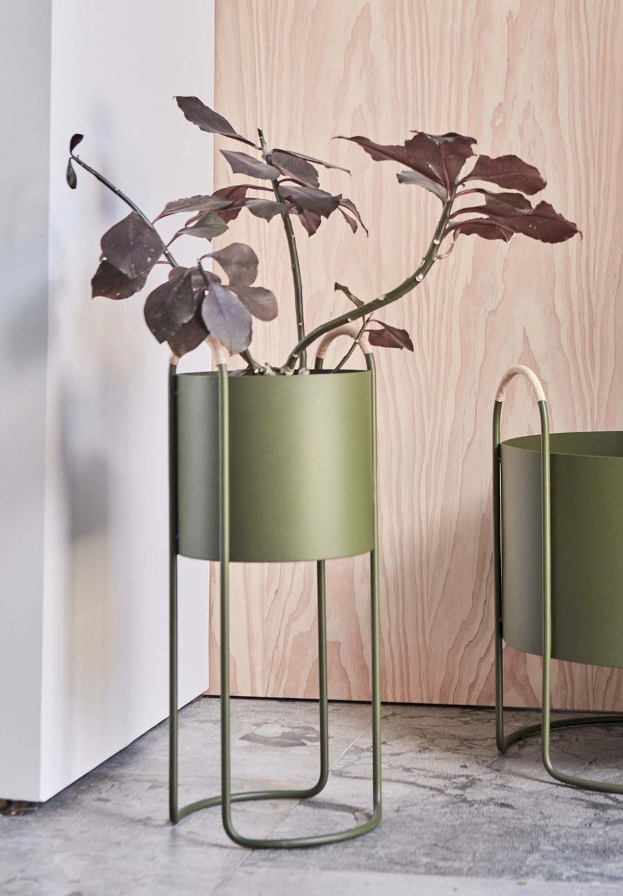Maki Blomlåda, Hög, Olive