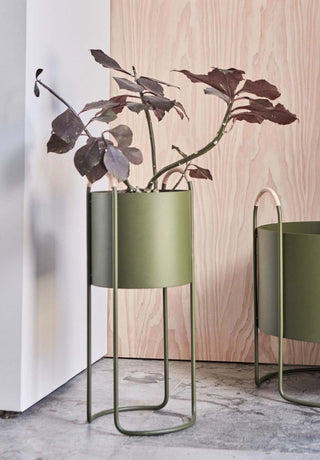 Maki Blomlåda, Hög, Olive