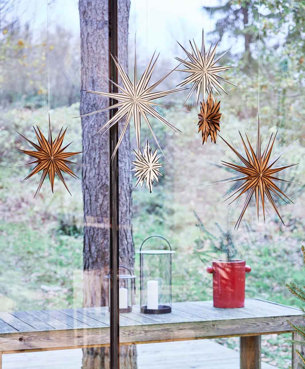 Toppu Julstjärna, Brun