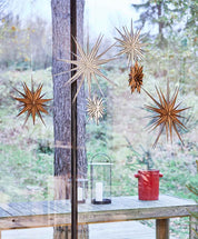 Toppu Julstjärna, Brun