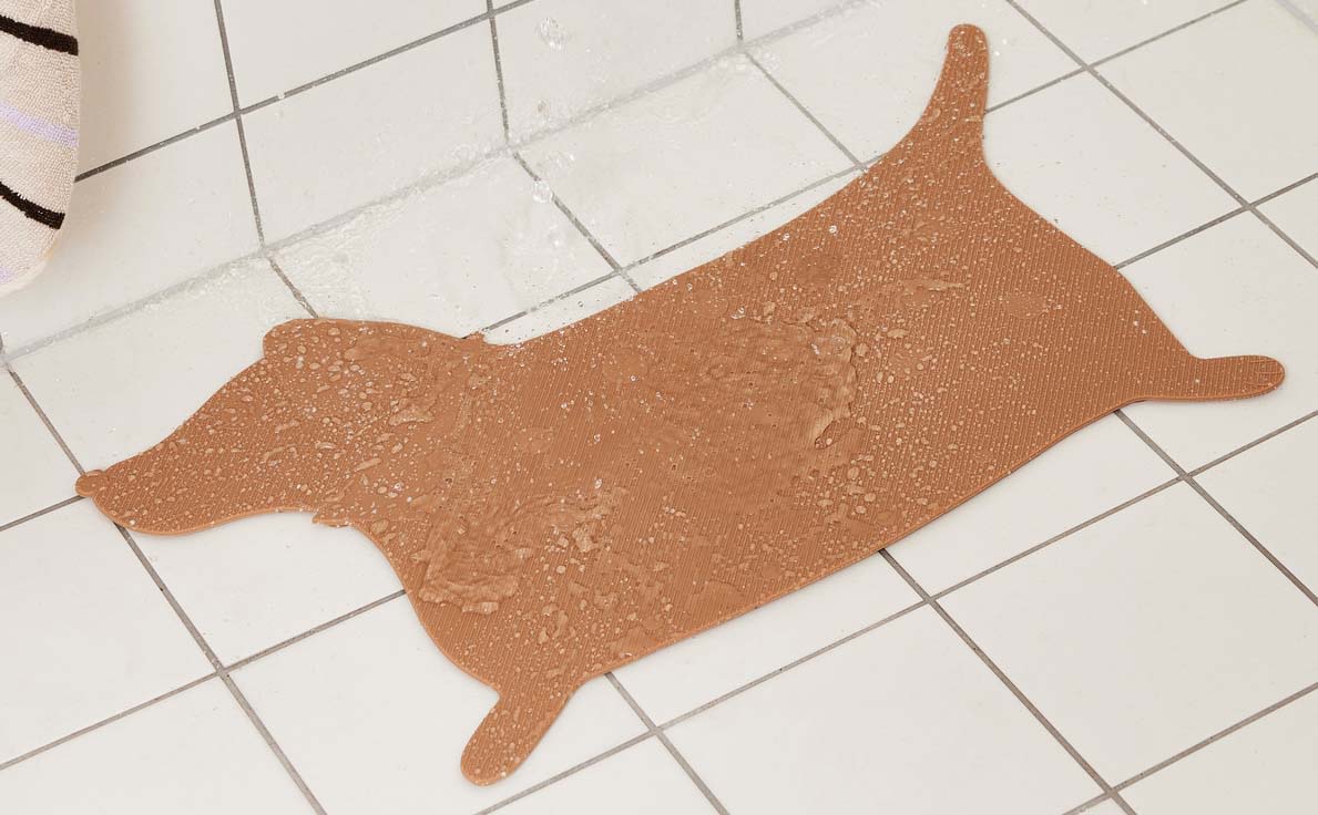 Badmatta Hunsi Dog, Camel