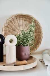 Bear Kruka, Mörk terrakotta