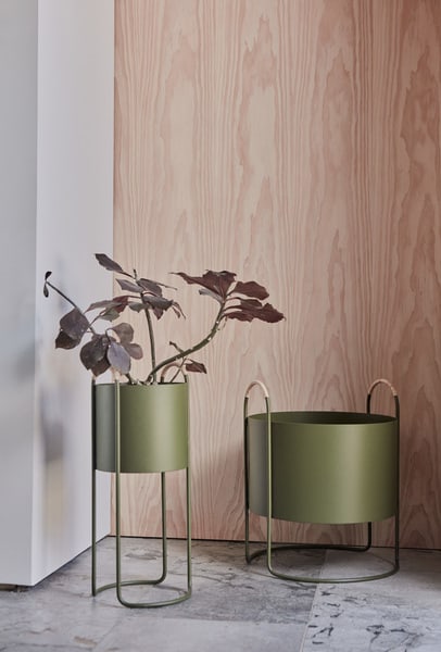Maki Blomlåda, Hög, Olive