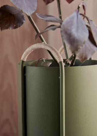 Maki Blomlåda, Hög, Olive